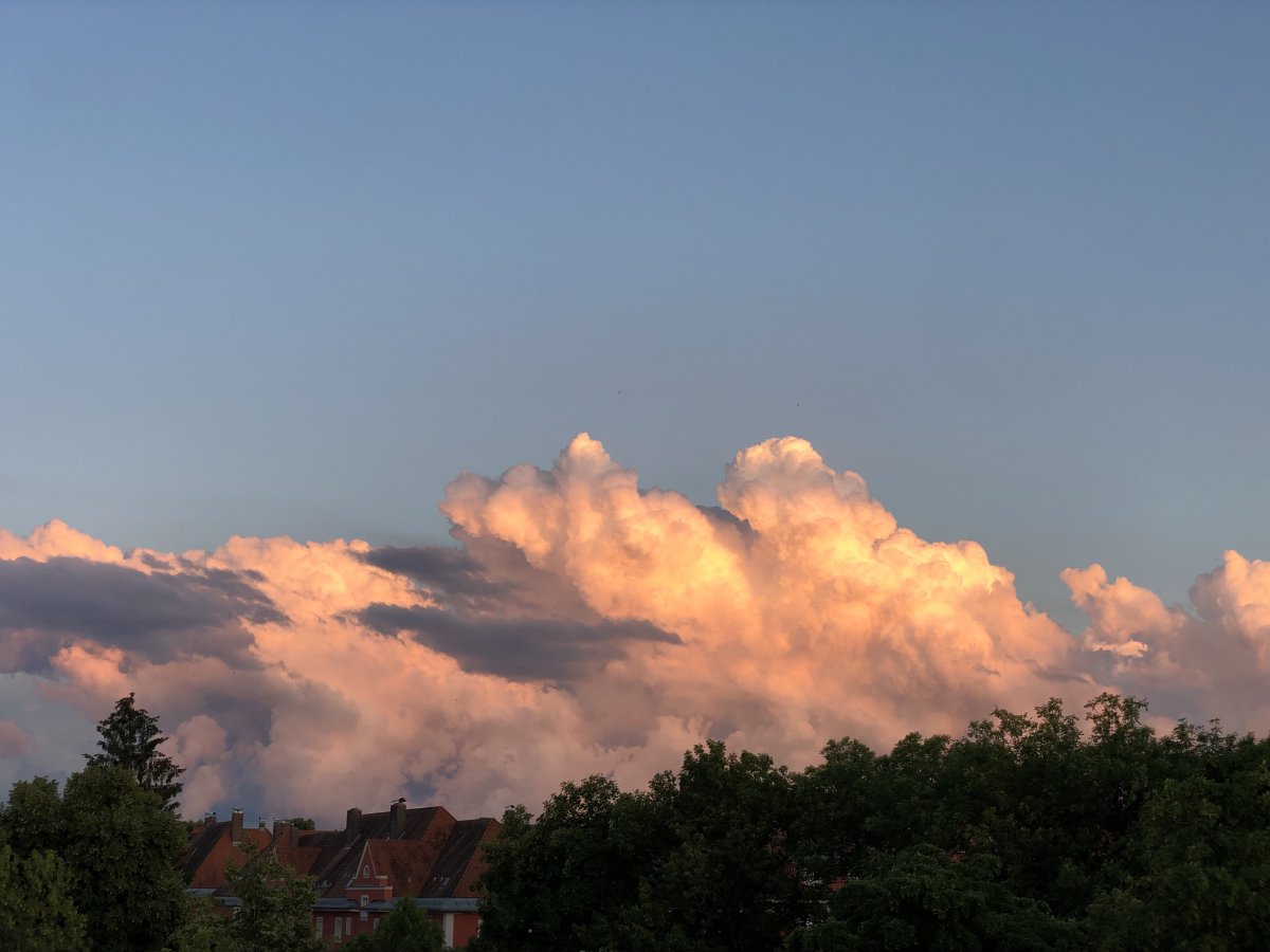 Im Hintergrund sieht man den blauen Himmel mit von der Sonne orange angeleuchteten Wolken, im Fordergrund Baumwipfel und ein rotes Haus.