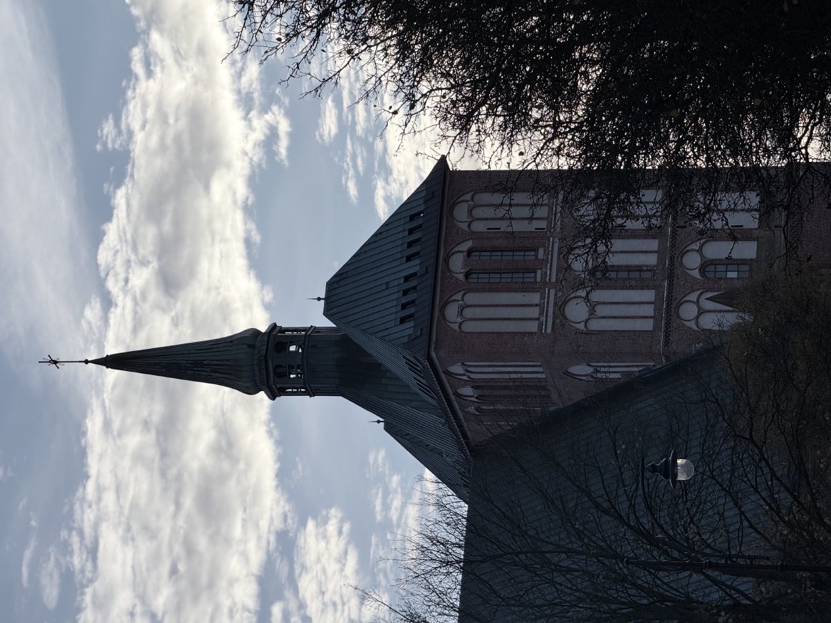 Im Hintergrund sieht man den Kolberger Dom vor dem hellen Himmel, im Vordergrund kahle Bäume und eine Straßenlaterne.